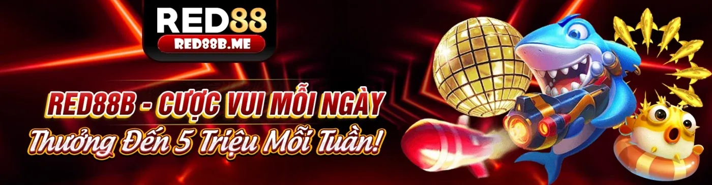 Đá Gà Trực Tuyến 55xin88