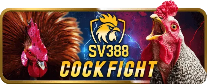 Sứ mệnh 55xin88